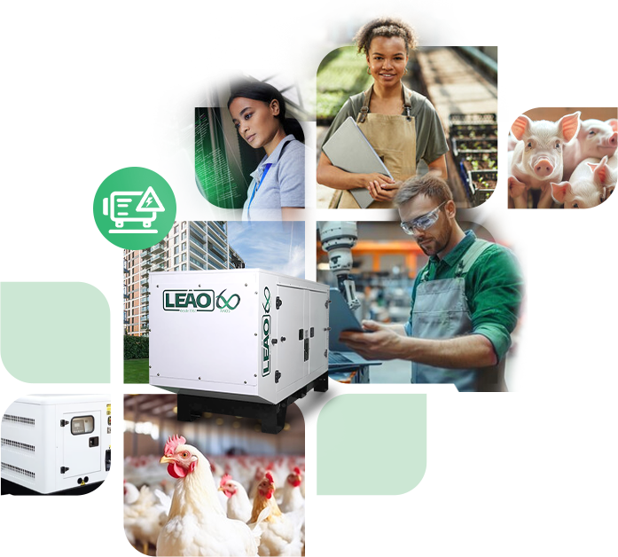 Leão Energia - Empresa